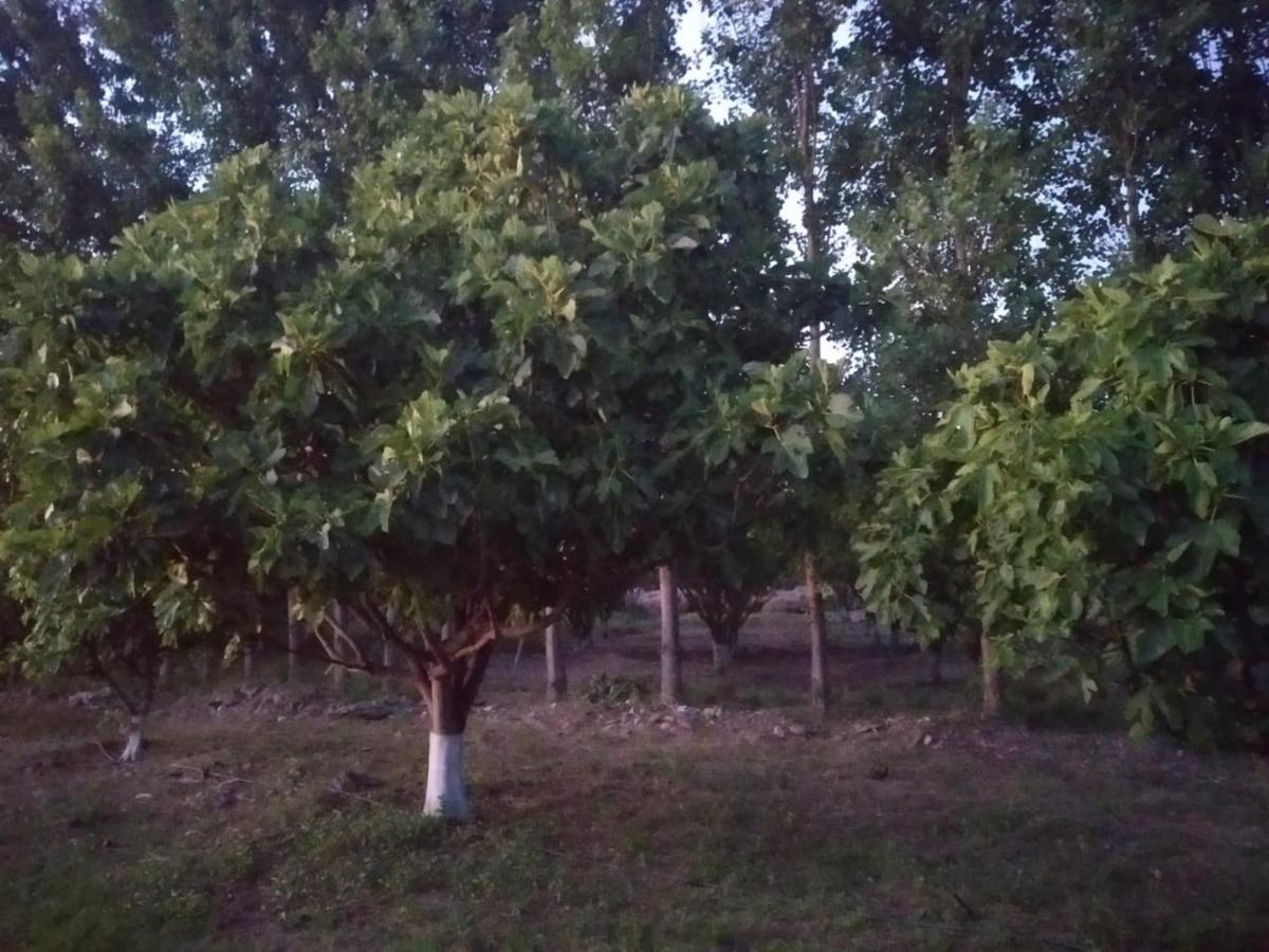 Finca La Julia Luyaba Buitenkant foto
