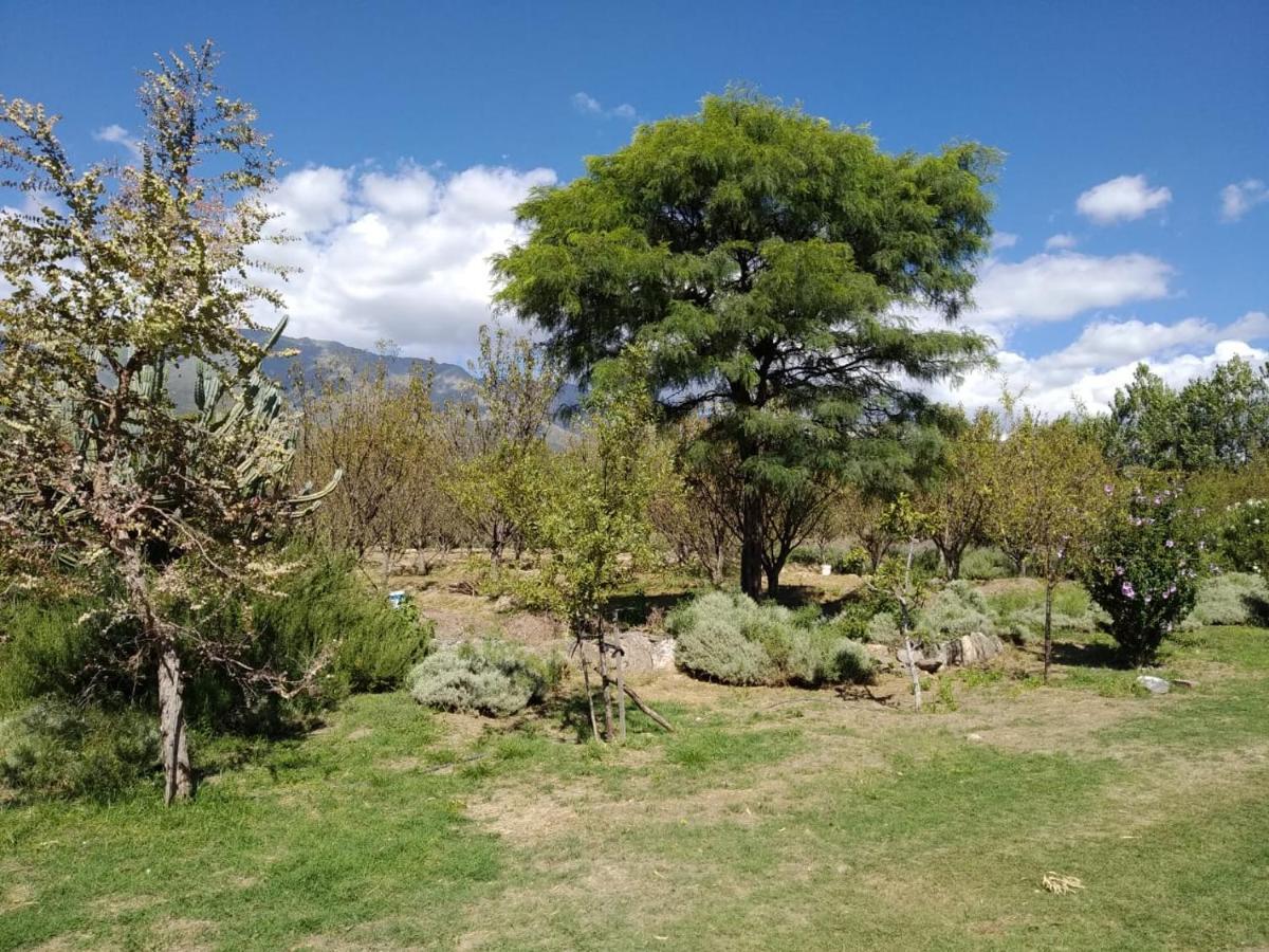 Finca La Julia Luyaba Buitenkant foto