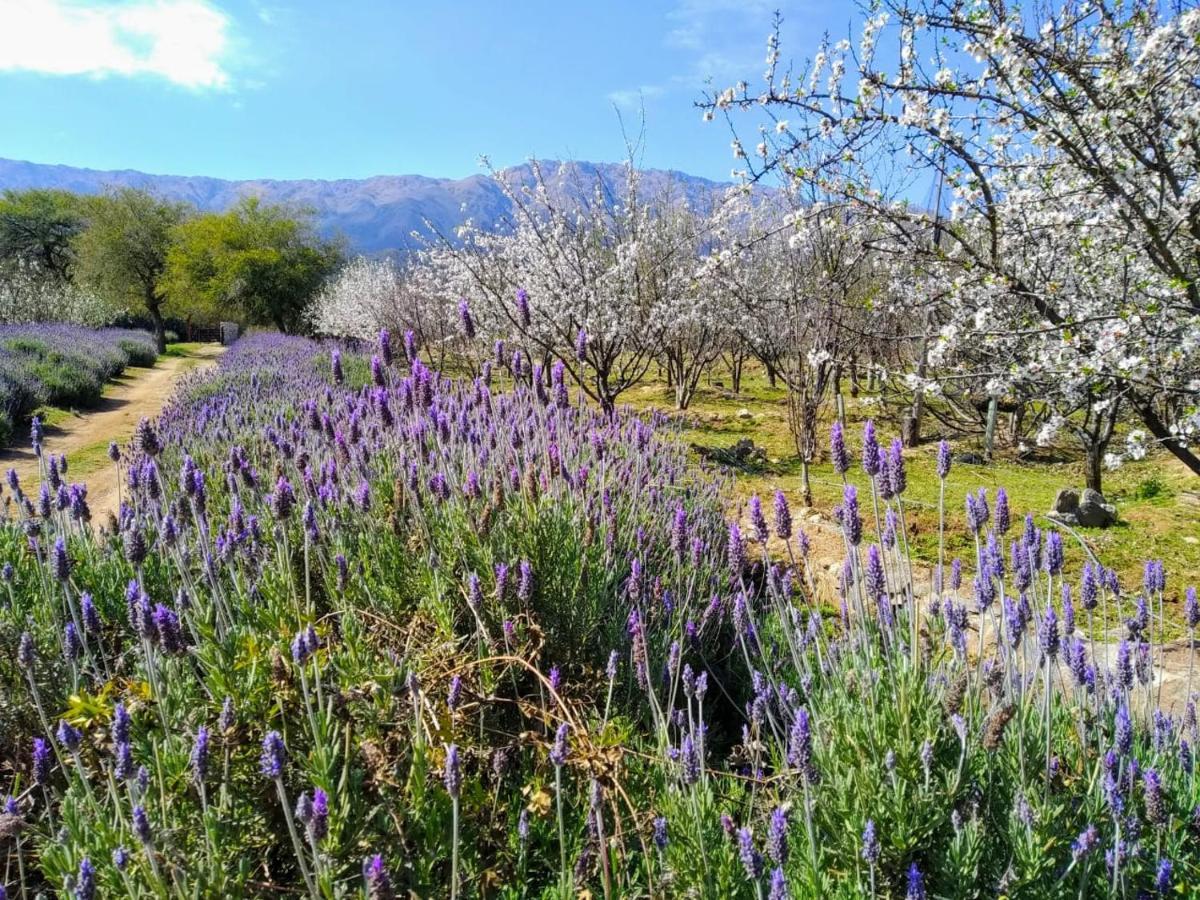 Finca La Julia Luyaba Buitenkant foto